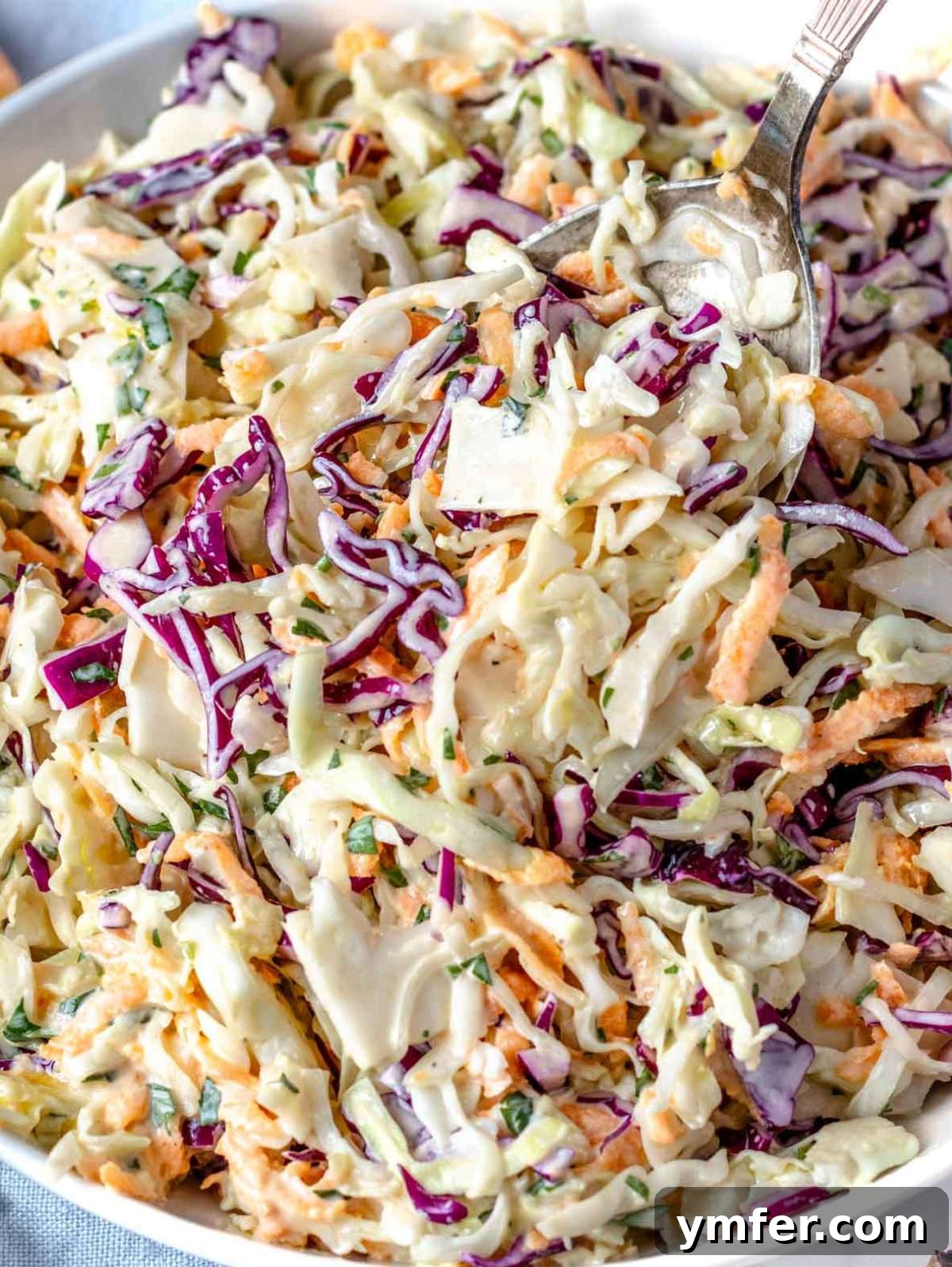 Wholesome & Creamy Greek Yogurt Coleslaw 3 Creamy Greek yogurt coleslaw with thinly shredded red and green cabbage and finely shredded carrots, showcasing its fresh and vibrant texture.