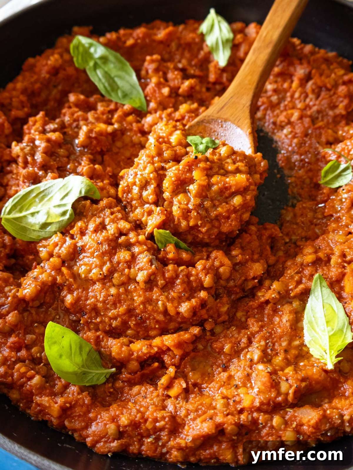 Speedy Lentil Bolognese Dinner in Half an Hour 3 Easy lentil bolognese sauce simmering in a skillet, showcasing its rich texture.