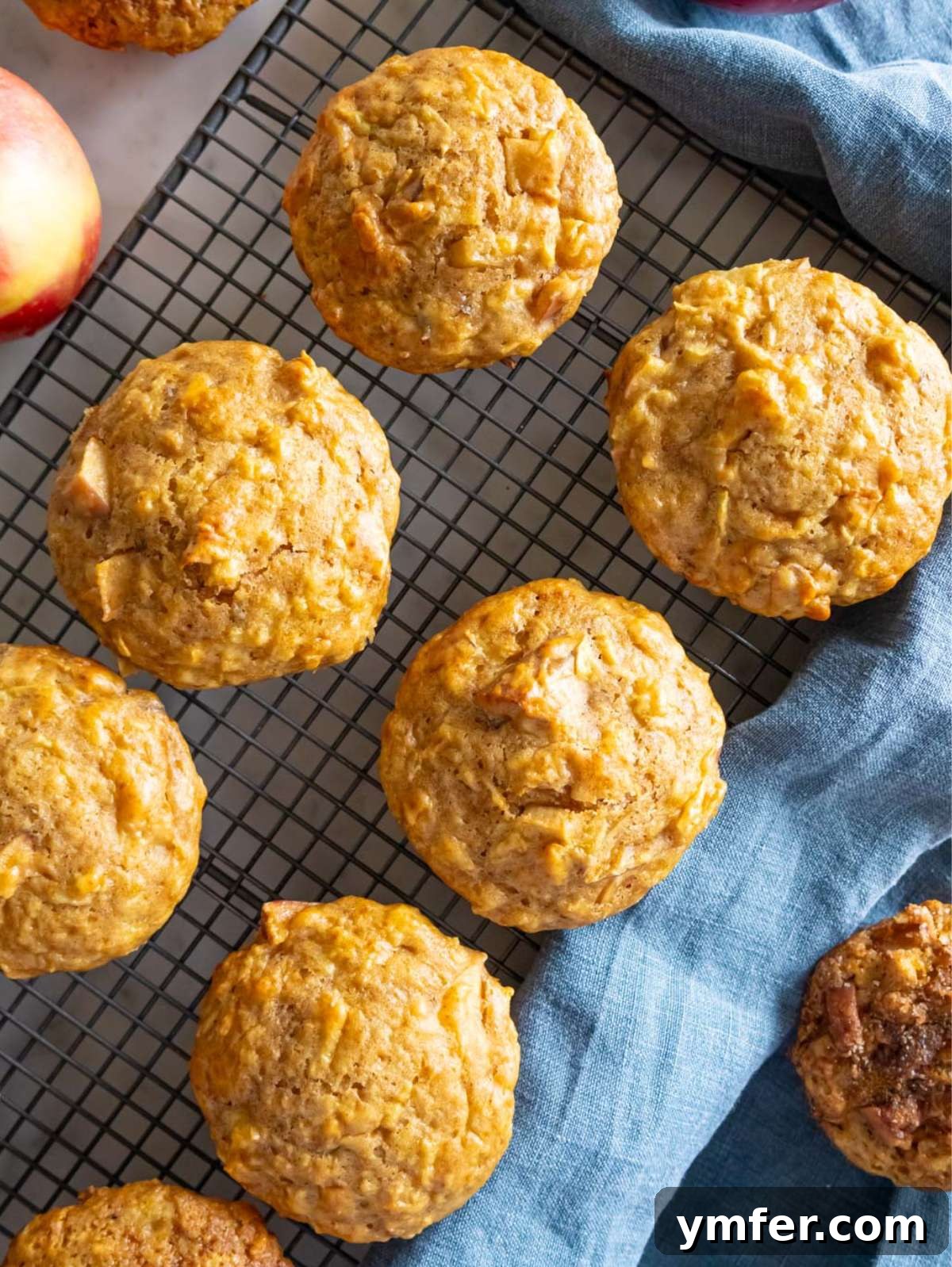 Protein Packed Cinnamon Apple Muffins 3 Top down view of healthy protein apple muffins cooling on a wire rack.