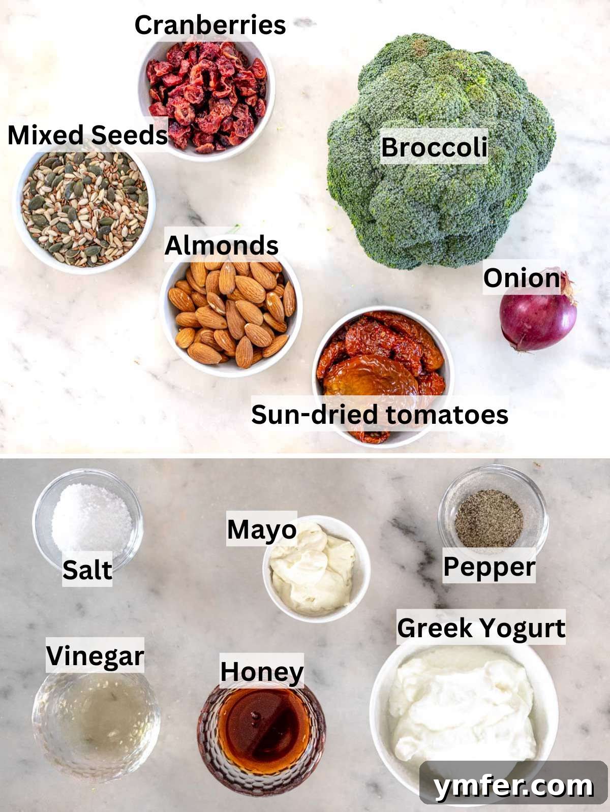 Ingredients for Greek yogurt broccoli salad with broccoli cranberries nuts seeds and yogurt.