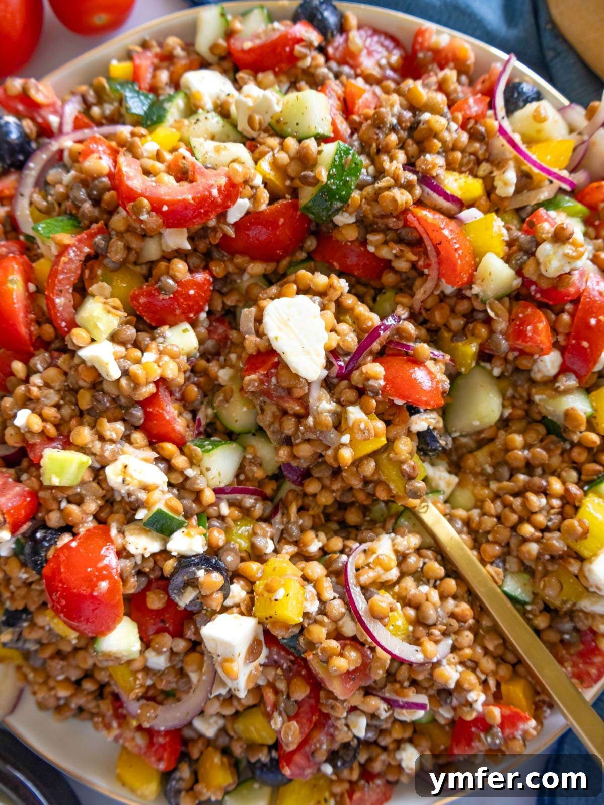 Greek Lentil Salad with a Zesty Marinade Dressing 3 Close up finished Greek lentil salad with feta olives and fresh vegetables.