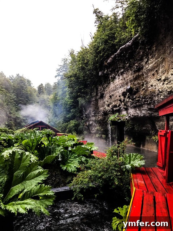Termas Geometricas Pucon Chile Your Geothermal Escape 2 The striking red wooden walkways guiding visitors through the lush forest at Termas Geometricas