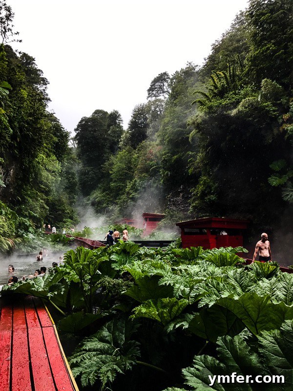 Termas Geometricas Pucon Chile Your Geothermal Escape 4 Close-up view of the natural hot springs, with steam rising from the warm waters.