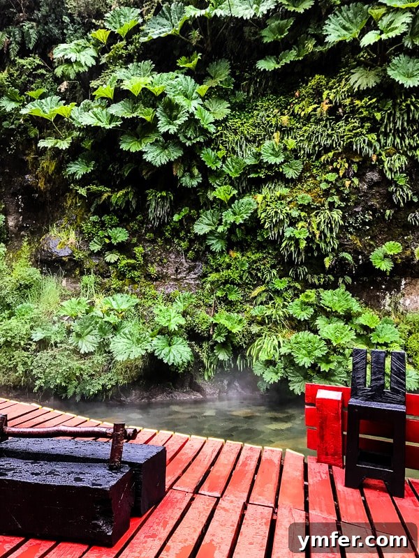 Termas Geometricas Pucon Chile Your Geothermal Escape 5 One of the many inviting thermal pools at Termas Geometricas, showcasing its natural beauty.