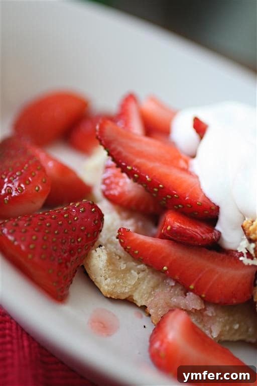 This strawberry shortcake is the perfect summertime dessert. Full of sweet strawberries, homemade biscuits and topped with whipped cream. This strawberry shortcake is the perfect summertime dessert. Full of sweet strawberries, homemade biscuits and topped with whipped cream.