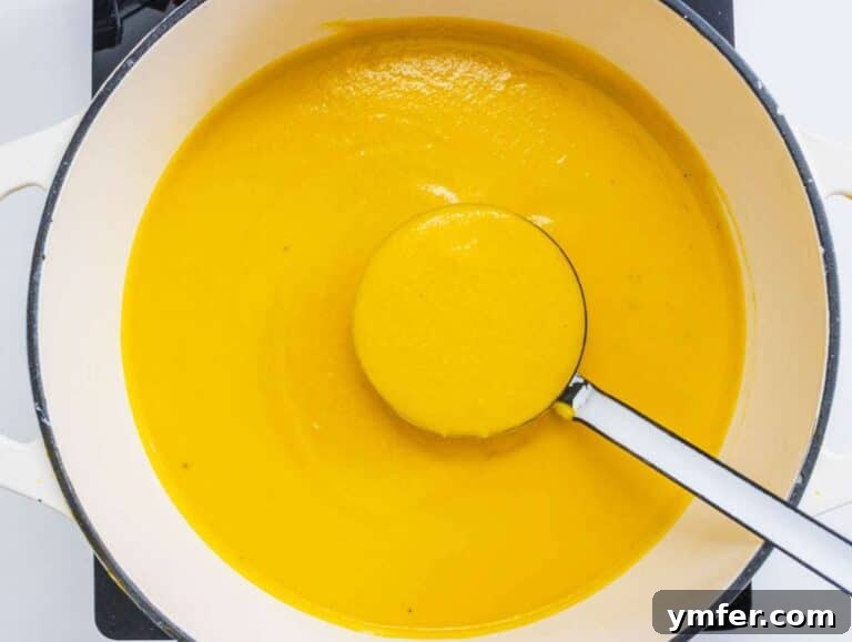Nourishing Creamy Coconut Pumpkin Soup for Fall 14 Step 4 Roasted pumpkin coconut milk and broth blended together into a creamy smooth soup.