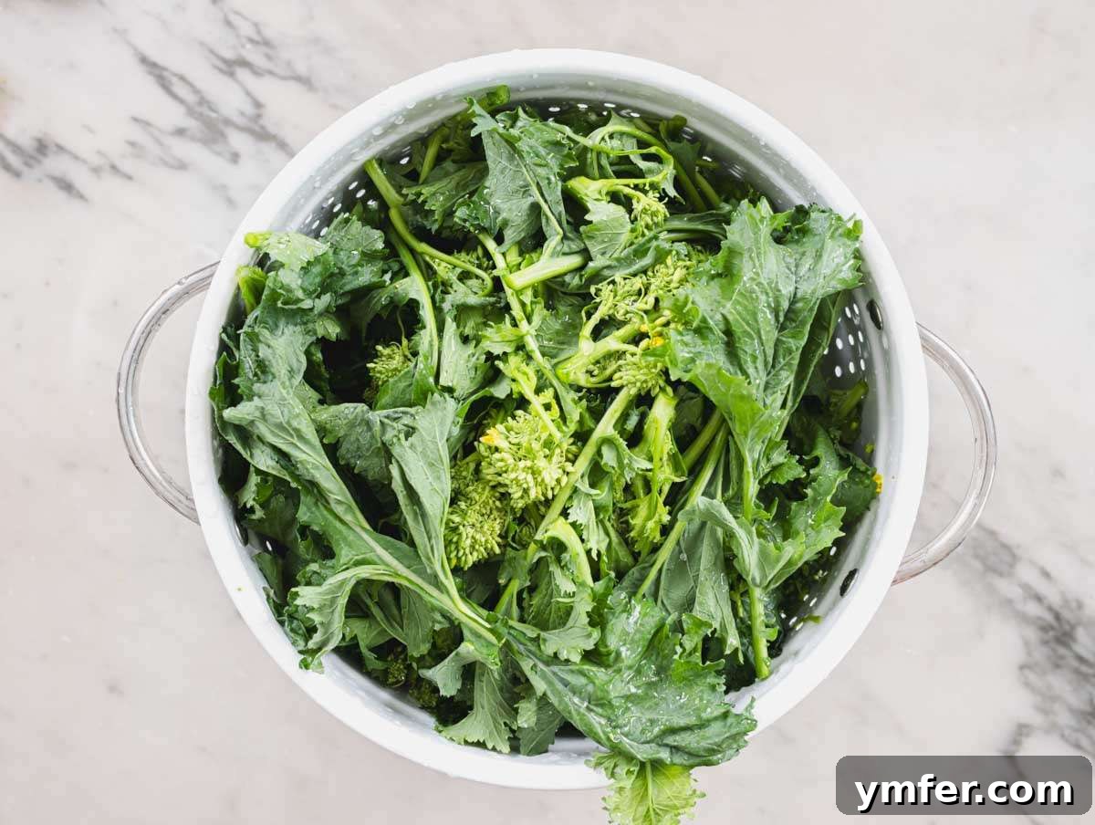 Coastal Greek Pasta Dinner 4 Step 1 Chopped broccoli rabe washed and ready to cook in a bowl.