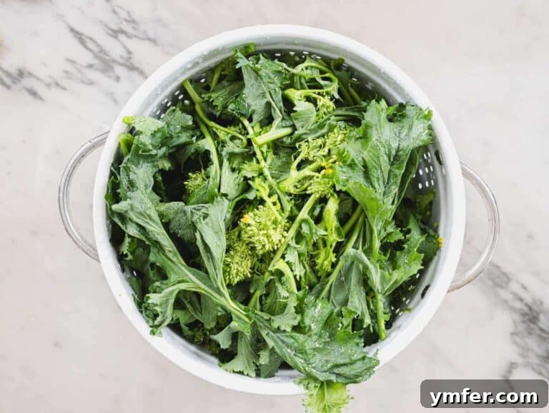 Coastal Greek Pasta Dinner 9 Step 1 Chopped broccoli rabe washed and ready to cook in a bowl.