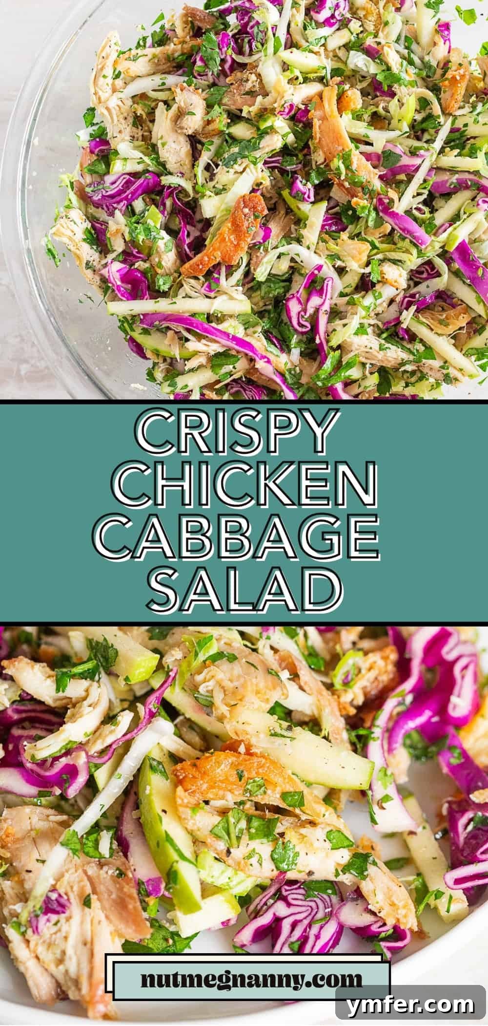 Vibrant Crispy Chicken Slaw 8 Crispy Chicken Cabbage Salad long pin for Pinterest, featuring a detailed shot of the salad ingredients.