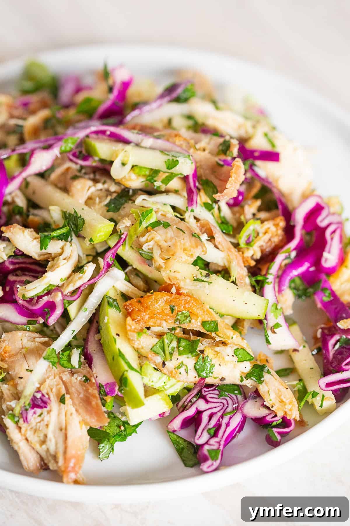 Vibrant Crispy Chicken Slaw 3 Crispy Chicken Cabbage Salad beautifully arranged on a white plate, ready to be served.