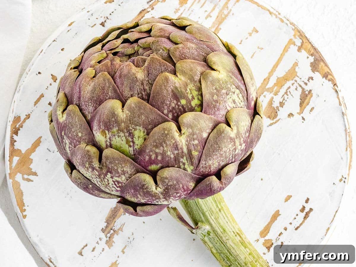Simple Artichoke Recipes and Cooking Tips 32 Artichokes head and stem