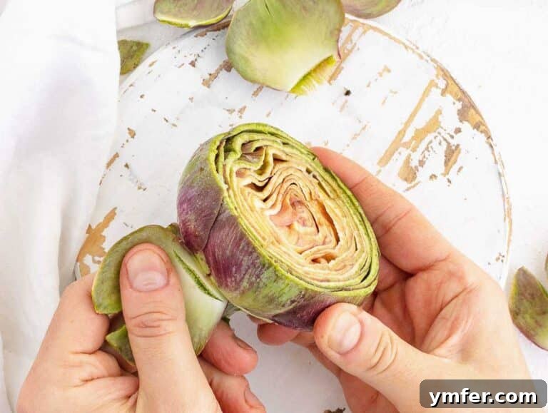 Simple Artichoke Recipes and Cooking Tips 38 removing outer leaves
