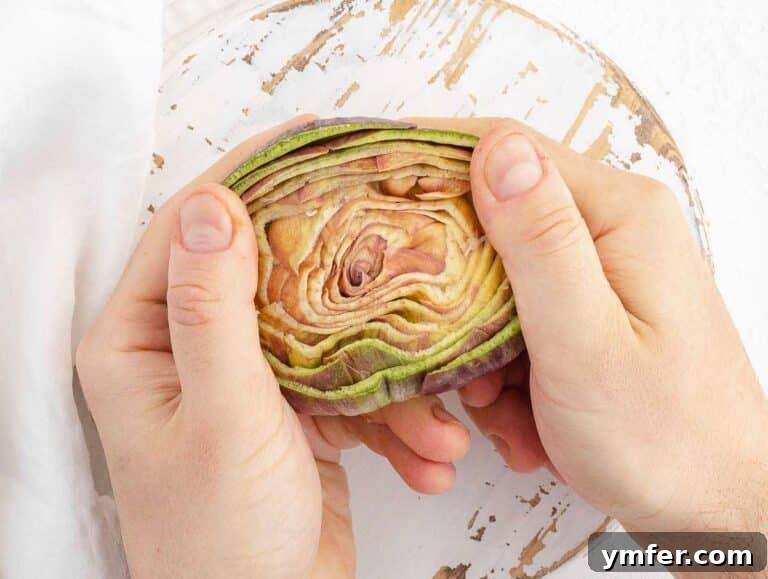 Simple Artichoke Recipes and Cooking Tips 40 exposing the choke of the artichoke