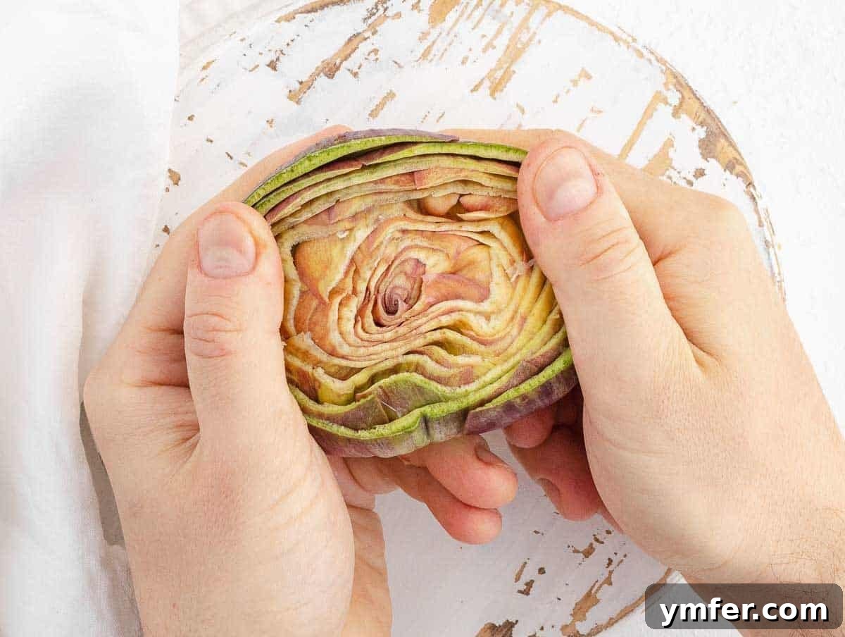 Simple Artichoke Recipes and Cooking Tips 8 exposing the choke of the artichoke