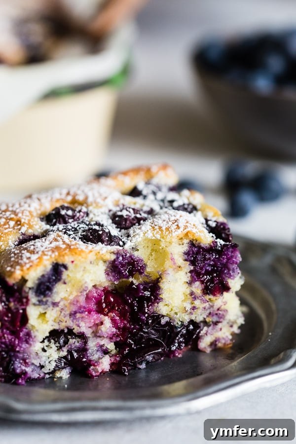 Mediterranean Blueberry Citrus Ricotta Cake 2 Blueberry Lemon Ricotta Olive Oil Cake sliced on a plate. A perfect slice of cake with blueberries visible, lightly dusted with powdered sugar.