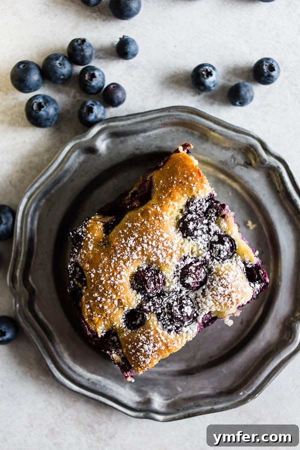 Mediterranean Blueberry Citrus Ricotta Cake 3 Blueberry Lemon Ricotta Olive Oil Cake sprinkled with powdered sugar. A close-up showing the fluffy texture and sweet dusting.