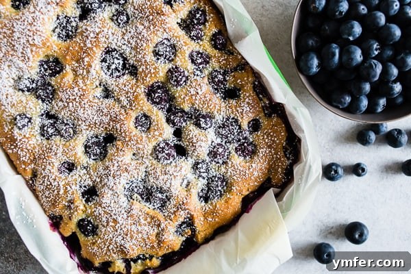 Mediterranean Blueberry Citrus Ricotta Cake 5 Blueberry Lemon Ricotta Olive Oil Cake sprinkled with powdered sugar and served with extra berries. A perfect dessert spread.