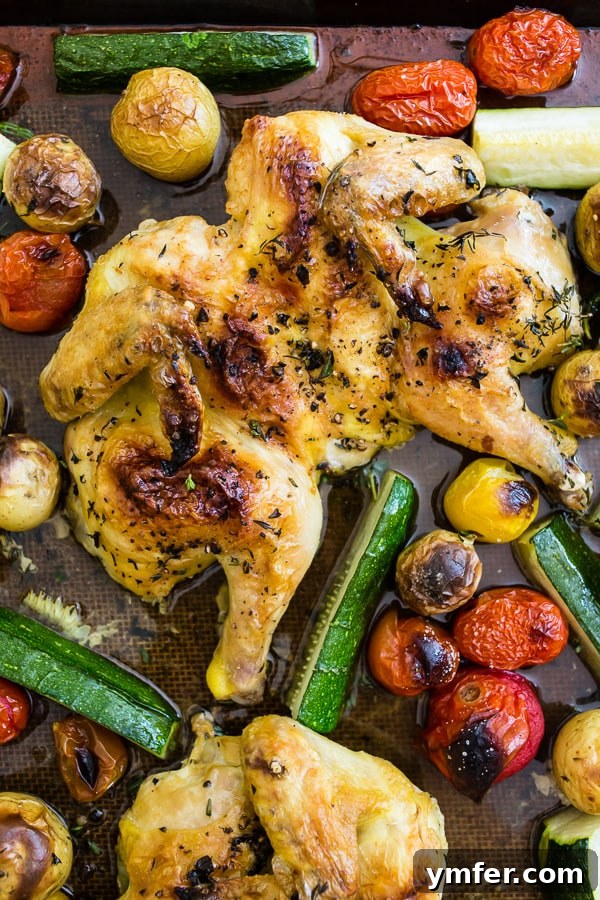 Sheet Pan Golden Cornish Hens with Vibrant Summer Vegetables 2 Crispy sheet pan spatchcocked Cornish hens with roasted summer vegetables including zucchini, baby potatoes, and cherry tomatoes, seasoned with olive oil, oregano, and thyme. An easy weeknight dinner idea.