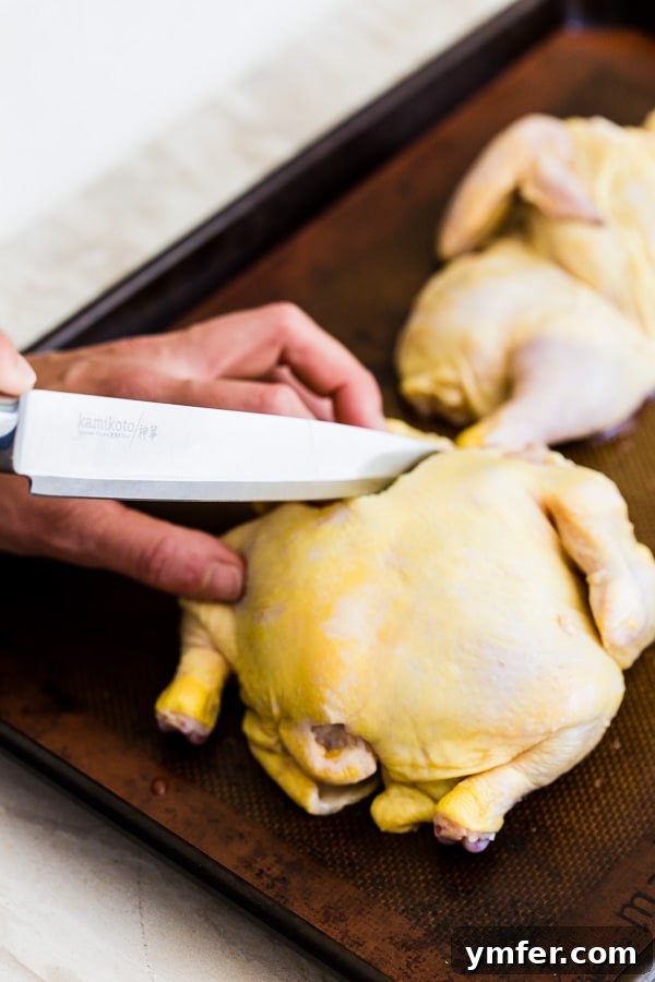 Sheet Pan Golden Cornish Hens with Vibrant Summer Vegetables 3 Close-up of spatchcocked Cornish hens on a sheet pan, seasoned and ready for roasting alongside fresh summer vegetables. Highlights the flat profile for even cooking.