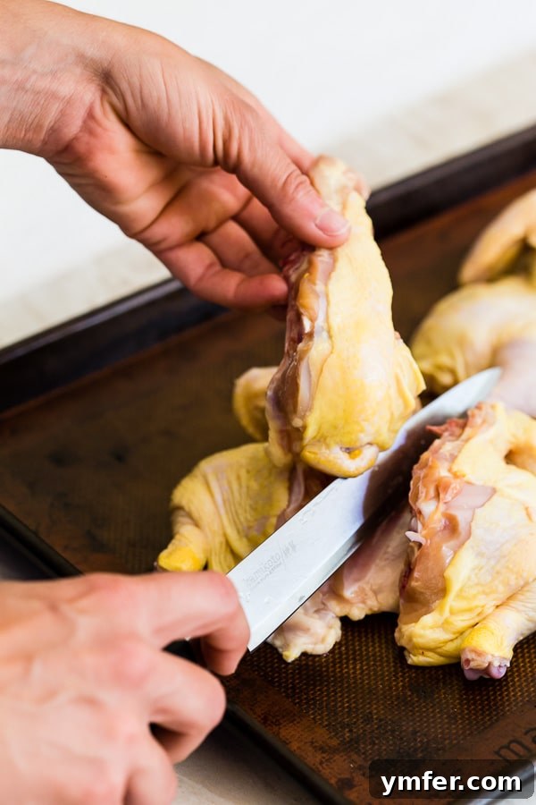 Sheet Pan Golden Cornish Hens with Vibrant Summer Vegetables 4 A sharp kitchen knife next to a spatchcocked Cornish hen, demonstrating the ease of preparation with quality tools. Emphasizes knife safety and efficiency.