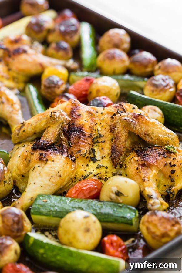 Sheet Pan Golden Cornish Hens with Vibrant Summer Vegetables 5 Overhead view of a spatchcocked Cornish hen on a cutting board, illustrating the flattened form ready for seasoning and roasting. Showcases the result of the spatchcocking technique.