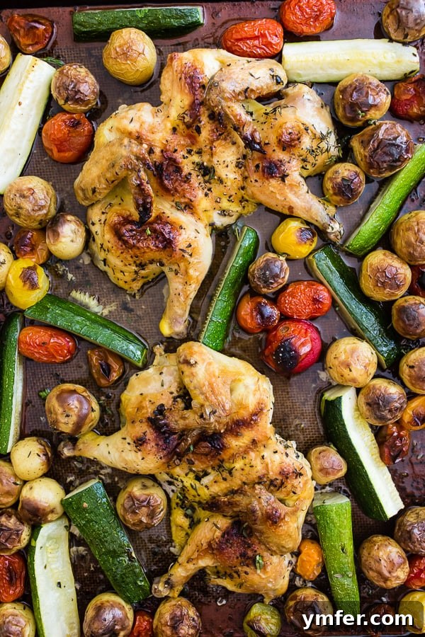Sheet Pan Golden Cornish Hens with Vibrant Summer Vegetables 6 A colorful array of summer vegetables including baby potatoes, cherry tomatoes, and zucchini, tossed in herbs and olive oil on a baking sheet, ready to accompany the Cornish hens.