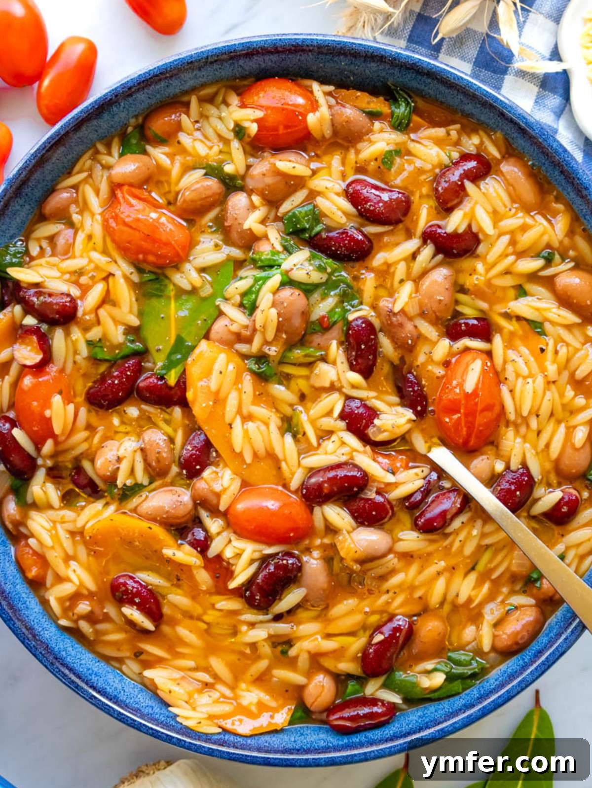 Mediterranean Orzo with Beans A Wholesome One-Pan Meal 4 Finished orzo and beans top down served in a bowl for easy Mediterranean one pot dinner.