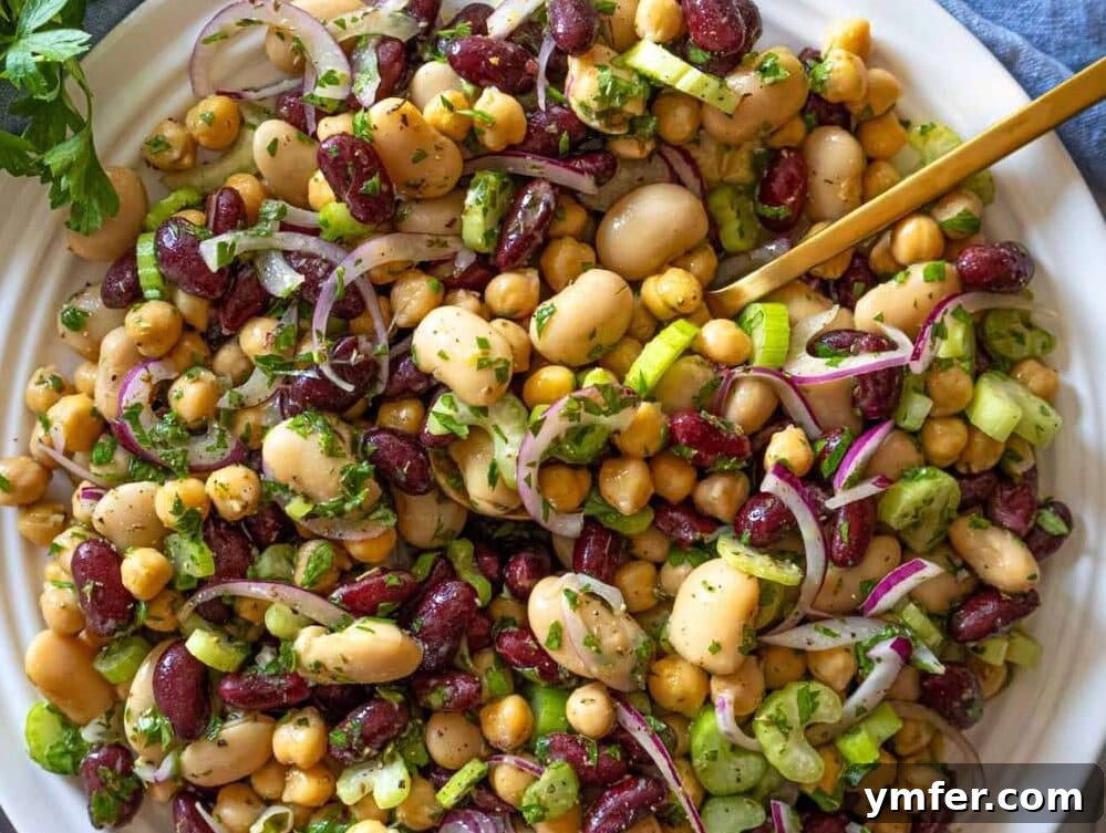 Fuel Up Fast: 25 High-Protein Bean Recipes in 30 Minutes 17 Step 3 Finished 3 bean salad recipe chilling in bowl ready to serve with parsley.