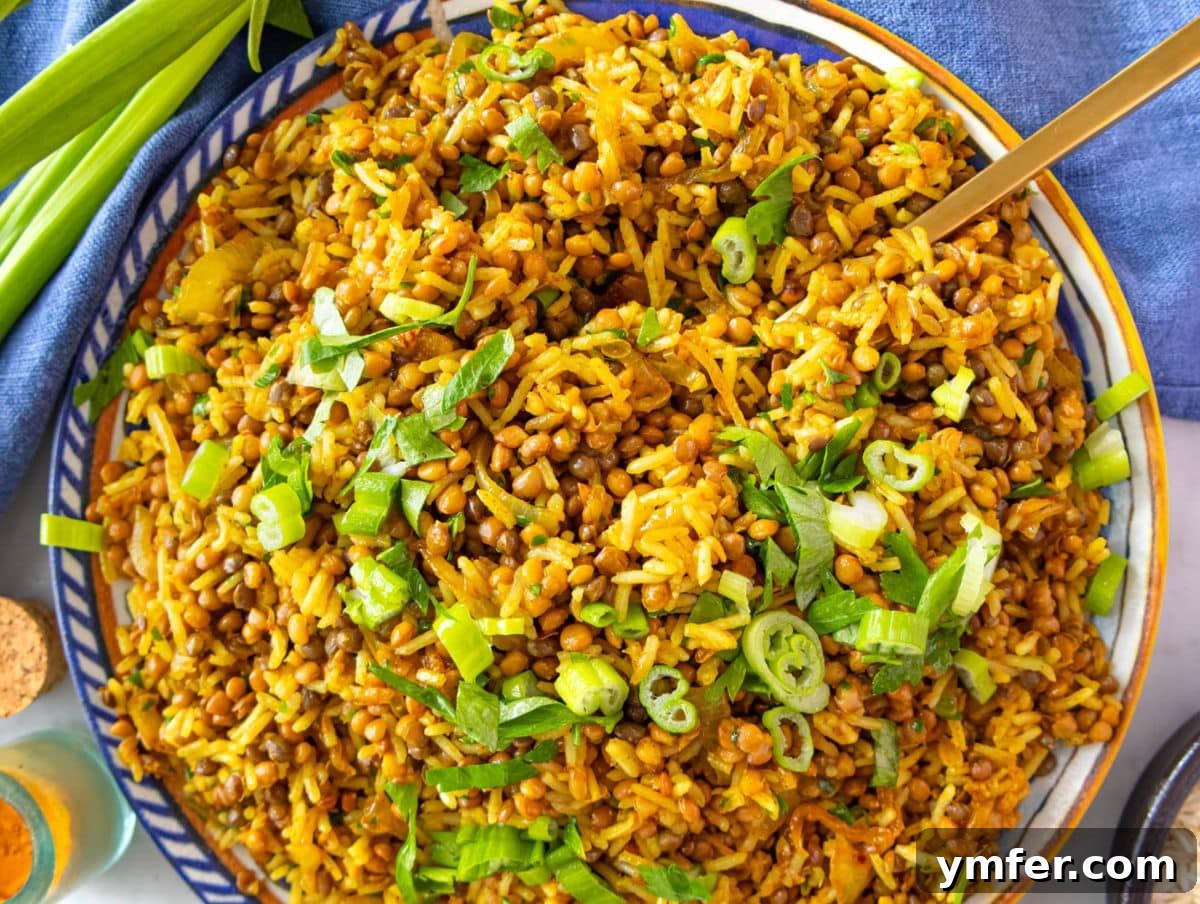 Fuel Up Fast: 25 High-Protein Bean Recipes in 30 Minutes 3 Healthy Mediterranean lentils and rice with fresh herbs and a squeeze of lemon on top.