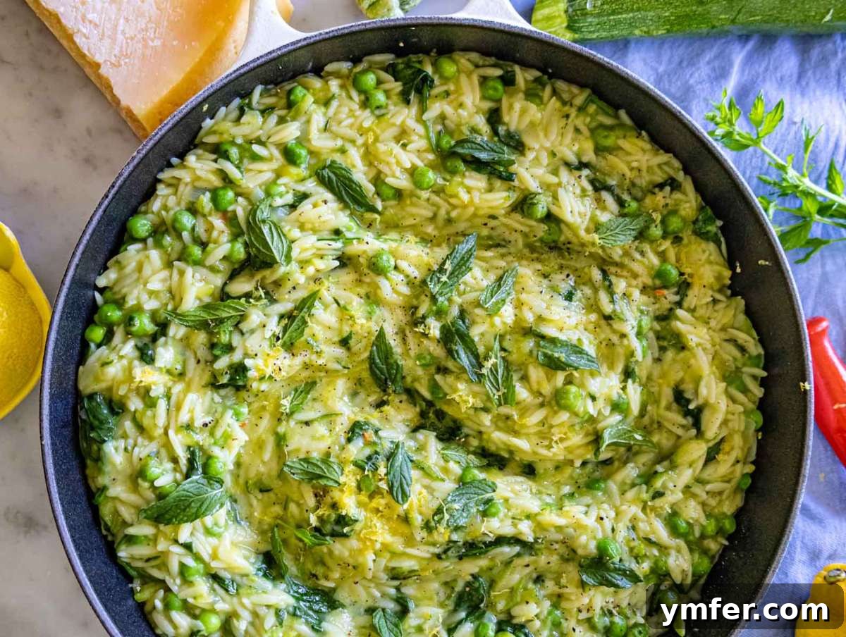 25 Affordable and Healthy Mediterranean Diet Meals 12 Finished lemon orzo with zucchini served in bowls, topped with mint and extra cheese.