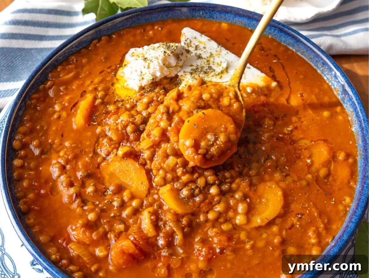 25 Affordable and Healthy Mediterranean Diet Meals 8 Rustic bowl of Greek lentil soup with olive oil drizzle chunks of feta and oregano on top.