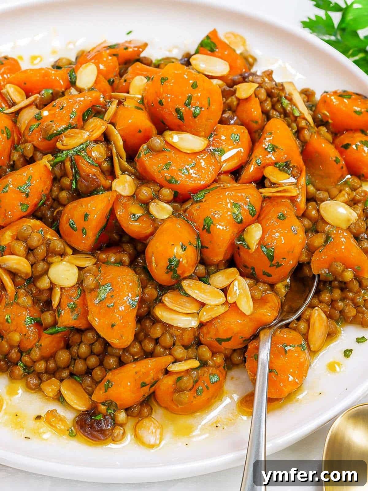 Vibrant Mediterranean Carrot and Lentil Salad 2 Mediterranean carrot salad close-up with roasted carrots lentils and lemon dressing.