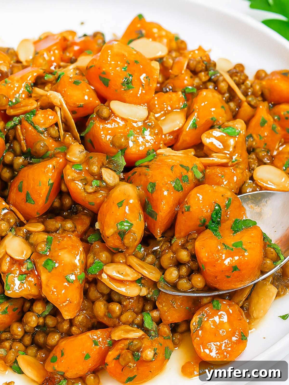 Vibrant Mediterranean Carrot and Lentil Salad 4 Mediterranean carrot salad on platter with nuts herbs and bright colors.