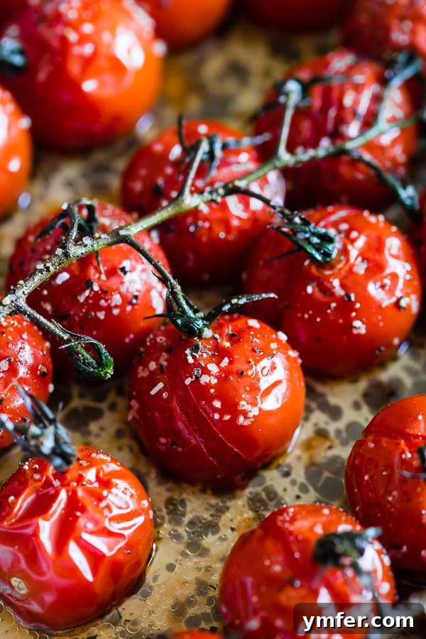 Roasted Tomatoes on the Vine 2 Perfectly roasted tomatoes on the vine in a metal baking dish, ready to be served or added to dishes.