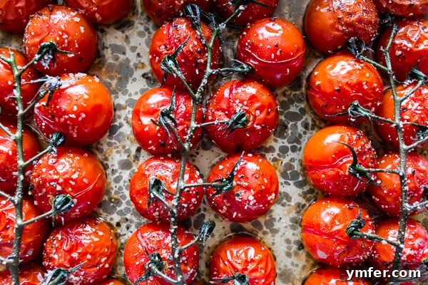 Roasted Tomatoes on the Vine 5 Close-up of perfectly cooked on the vine roasted tomatoes in a pan, showcasing their soft, blistered skins.
