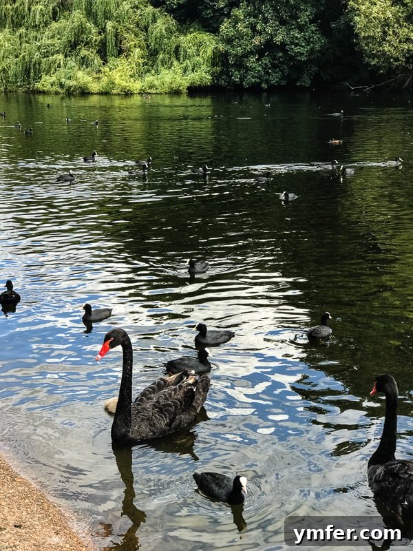 Your London Adventure 19 St. James's Park London tRavel guide