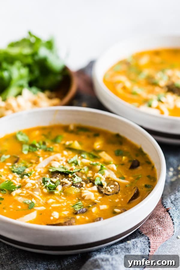 Warming Vegan Pumpkin Red Curry Noodle Soup 3 A close-up of Vegan Red Curry Pumpkin Noodle Soup, garnished with vibrant cilantro and crunchy peanuts, highlighting its rich texture.