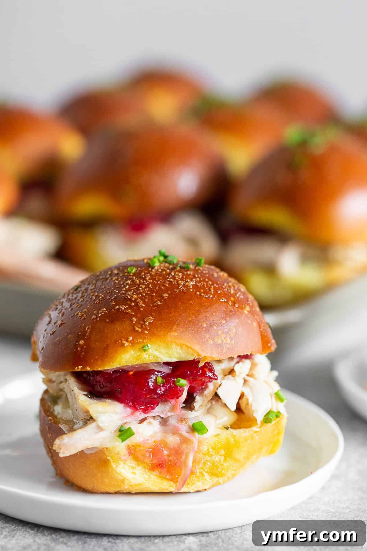 Roasted Turkey Cranberry Sandwich 2 Irresistibly golden brown Baked Cranberry Cheddar Turkey Sandwiches served on a plate, ready to be enjoyed.