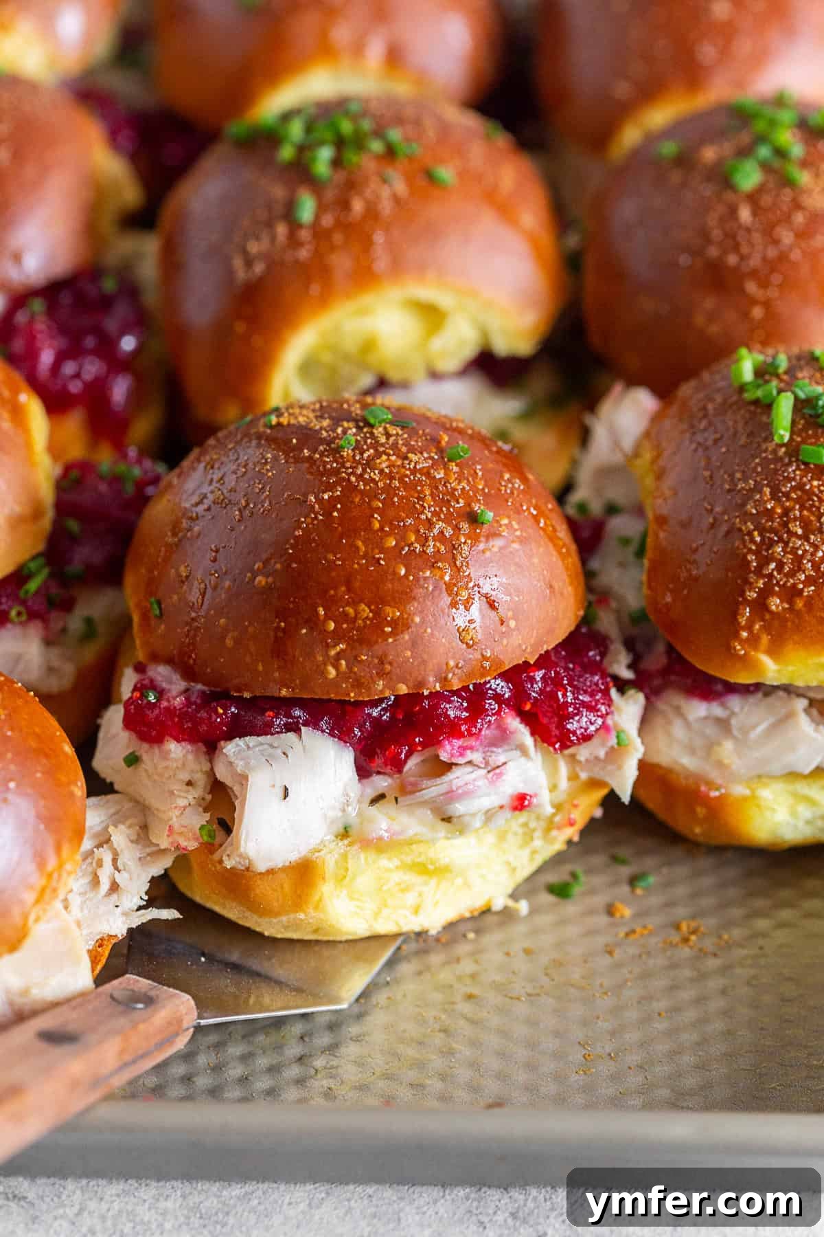 Roasted Turkey Cranberry Sandwich 5 Freshly baked Cranberry Cheddar Turkey Sandwiches on a baking tray, ready to be served with a spatula.