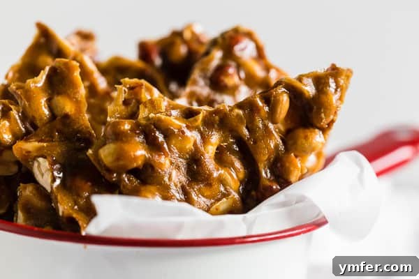 Golden Maple Peanut Brittle 4 Crispy Homemade Maple Peanut Brittle pieces stored in a charming tin container.