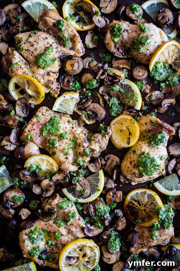 2017's Standout Content 8 Sheet pan garlic lemon chicken and mushrooms, ready in under 45 minutes, made with boneless skinless chicken thighs, baby portabella mushrooms, and drizzled with a flavorful garlic parsley sauce.