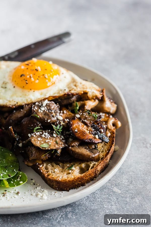 Garlicky Foraged Mushroom Toast 3 Garlic Wild Mushrooms on Toast served with an egg, highlighting the vibrant colors and appealing texture of the ingredients.