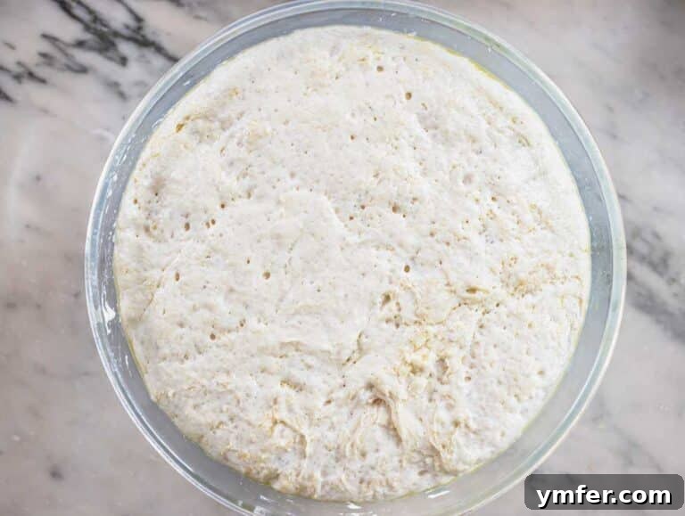 Golden Focaccia Perfection 15 Proofed focaccia dough in a bowl.