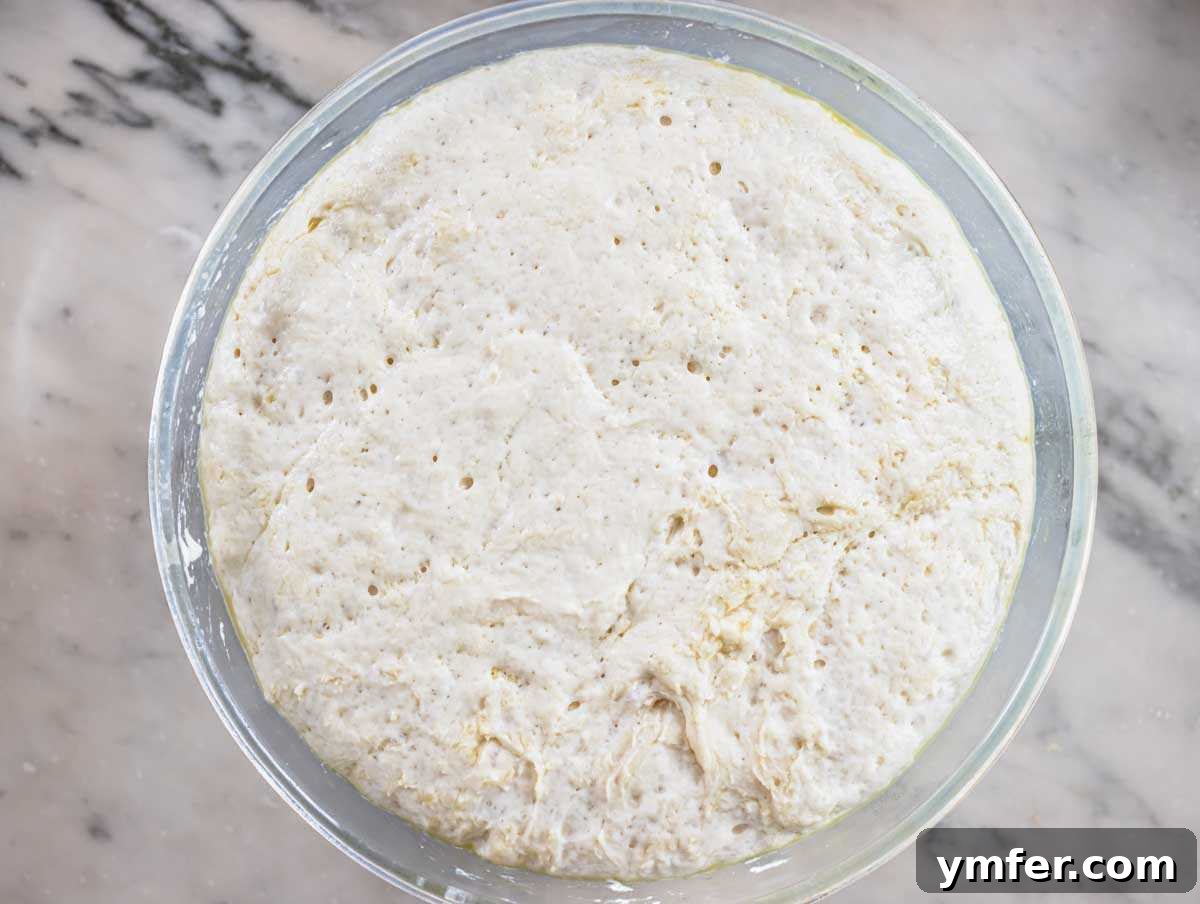 Golden Focaccia Perfection 7 A large bowl filled with focaccia dough that has beautifully proofed and doubled in volume, ready for the next step.