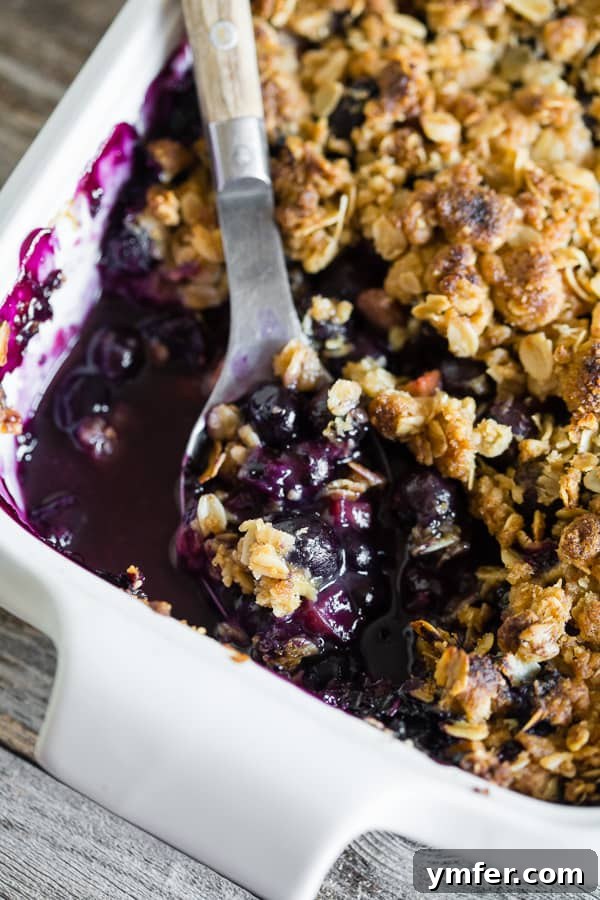Rustic Rhubarb & Berry Crumble 5 A generous serving of warm blueberry rhubarb crisp topped with a scoop of melting vanilla ice cream, illustrating a perfect dessert moment.