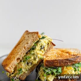 Zesty Curried Greek Yogurt Chicken Salad 9 img 14360 10