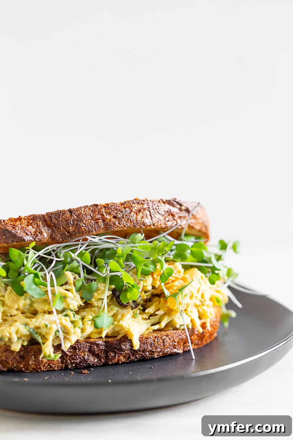 Zesty Curried Greek Yogurt Chicken Salad 4 curried chicken salad on toasted bread with microgreens. A beautifully presented curried chicken salad on toasted bread, garnished with fresh microgreens, highlighting its vibrant colors and delicious appeal.
