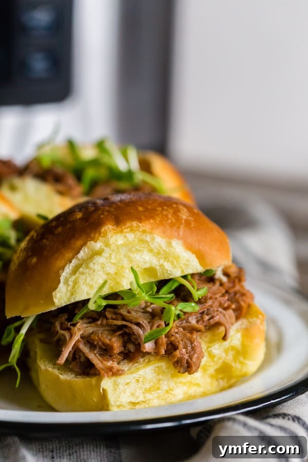 Cranberry Infused Instant Pot Pulled Pork 2 A delicious serving of Instant Pot Cranberry Sauce Pulled Pork on a white plate, garnished with fresh herbs, showcasing its rich texture and inviting colors.