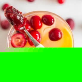 Crimson Gin Sparkler 2 A vibrant Cranberry Gin Fizz cocktail garnished with fresh cranberries and an orange slice.