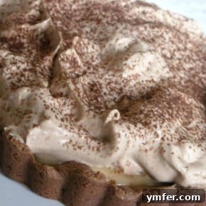 Stardust Swirl Tart 2 img 148 3
